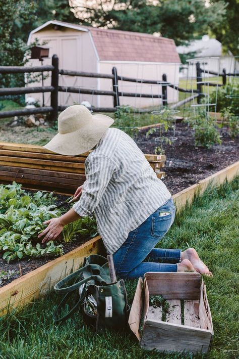 A Daily Something | Our Little Garden – An Update Gardening Photography, Things To Do At Home, Brasov, Garden Photography, Trieste, Little Garden, Kitchen Garden, Slow Living, Dream Garden