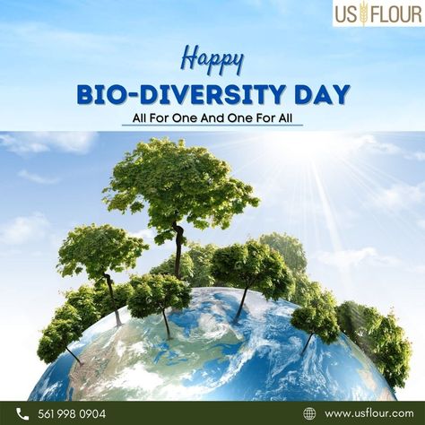 The International Day for Biological Diversity is a United Nations–an authorized international day to promote biodiversity issues. #naturelovers #biodiversity #nature #usflour #wildlife #biodiversityday2022 Biodiversity Day, Biological Diversity, Ecology Design, International Day, United Nations, Ecology, Poster Design, Design, Nature