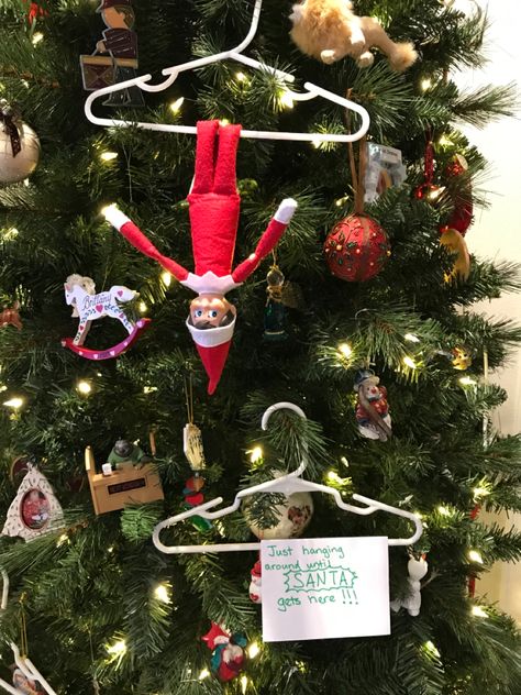 Elf On The Shelf Ideas Hanging, Hanging Elf On The Shelf Ideas, Shelf Hanging, Shelf Ideas, On The Shelf, Elf On The Shelf, Elf, Sparkle, Shelves