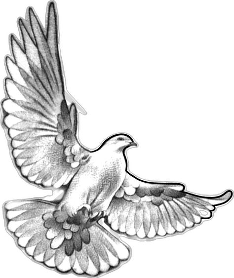 Dove Tattoo Stencil, Dove Tattoo Men, Dove Tattoo Ideas, Doves Tattoo, Tattoo Dove, Christus Tattoo, Dove Drawing, Memorial Tattoo Ideas, Tato Flash