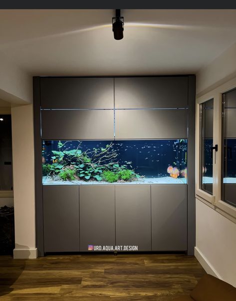 Modern Fish Tank, Modern Aquarium, Warm Home Aesthetic, Fish Tank Cabinets, Fish Tank Wall, Aquarium Architecture, Custom Aquarium, Wall Aquarium, House Extension Plans