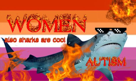 for my shark obsessed autistic woman-likers ‼️‼️‼️‼️ Shark Girl Aesthetic, Shark Woman, Shark Meme, Eaten Alive, Sharkboy And Lavagirl, Shark Tale, Cool Sharks, Shark Pictures, Species Of Sharks