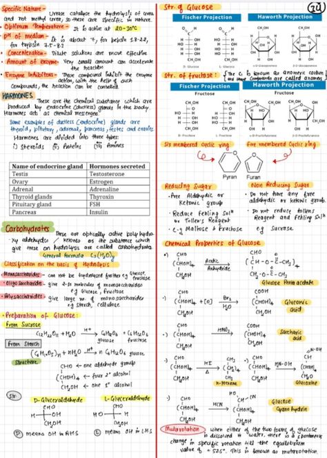 Biomolecules Notes Chemistry Class 12, Bio Molecules, Chemistry Flashcards, Zoology Notes, Chemistry Formulas, Organic Chemistry Notes, Chemistry Project, Chemistry Class 12, Biochemistry Notes