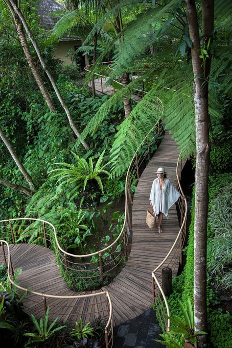 Coconut Farm Resort, Jungle Resort Design, Forest Resort Ideas, Coconut Garden, Tropical Resort Design, Ubud Monkey Forest, Nature Resort, Forest Resort, Jungle Resort