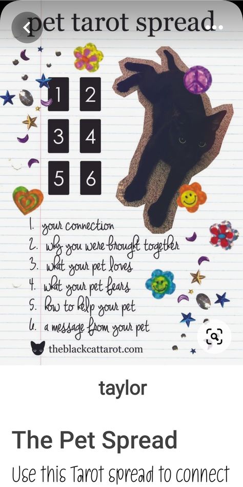 Pet Tarot Spread, Pet Tarot, Oracle Spreads, Animal Tarot, Tarot Journal, Tarot Book, Witch Stuff, Tarot Meanings, Tarot Spread