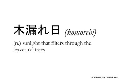 Komorebi (Japanese); sunlight that filters through the leaves of trees :) Kartu Doa, Inspiring Photography, Diy Couch, Unusual Words, Word Definitions, Japanese Words, Learn Japanese, Unique Words, Aesthetic Words