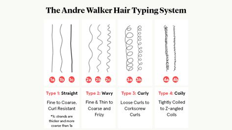 2c Hair Men, Wavy Hair Care Routine, Type 3 Curly Hair, 3 Curly Hair, Hair Type Chart, Perfect Wavy Hair, Hair Types Men, 2c Hair, Wavy Hair Tips