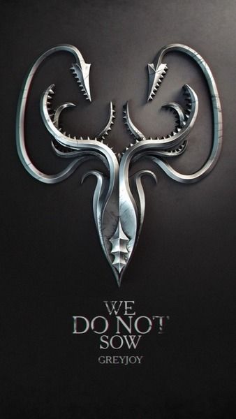 Game Of Thrones Bar, Symbols Ideas, House Sigil, Game Of Thrones Poster, Fire And Blood, Incredible Art, Gra O Tron, Games Of Thrones, Iron Throne