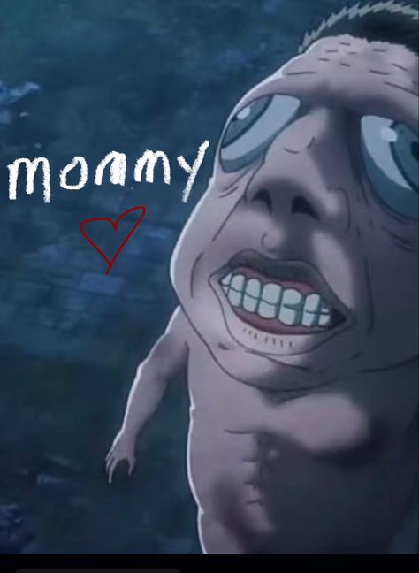 Aot Titans Funny, Aot Titans, Attack On Titan Meme, Aot Funny, Aot Characters, Attack On Titan Funny, Goofy Pictures, Meme Faces, Really Funny Pictures