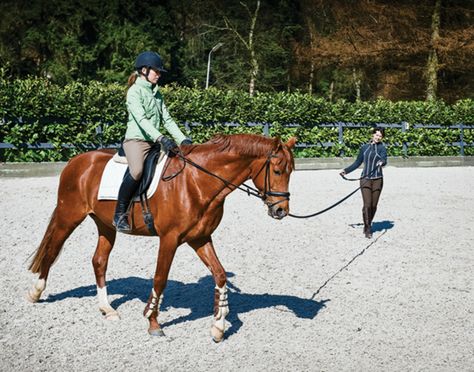 Lunging Horse, Riding Instructor, Chestnut Horses, Riding School, Hobby Horses, Cool Coats, Star Stable, Chestnut Horse, Horse Health