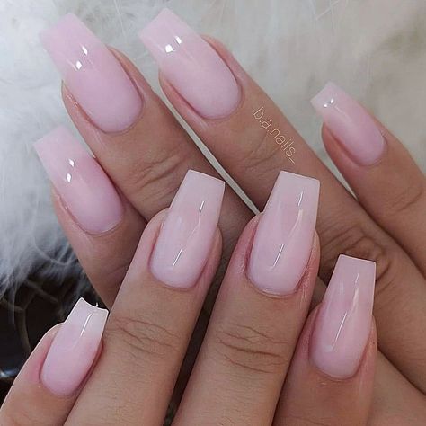 Milk Pink Nails, Mexico Trip, Milky Nails, Really Cute Nails, Soft Nails, Acrylic Nails Coffin Short, Flower Background, Pink Acrylic Nails, Neutral Nails