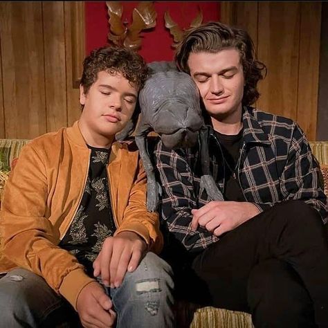 Stranger Things Gaten Matarazzo, Starnger Things, Gaten Matarazzo, Dustin Henderson, Joe Kerry, Finn Stranger Things, Stranger Things Actors, Cast Stranger Things, Joe Keery