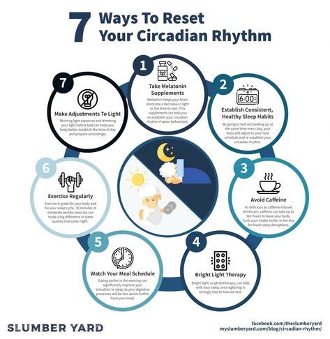 Circadian Rhythm Chart, Natural Decongestant, Get Better Sleep, Healthy Sleep Habits, When You Sleep, Sleep Cycle, Circadian Rhythm, Sleeping Habits, Natural Sleep