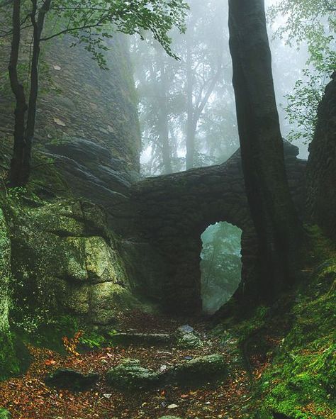 Forest Ruins, Dark Naturalism, Old Stone, Magical Places, Nature Aesthetic, Pretty Places, Fantasy Landscape, Green Aesthetic, Abandoned Places