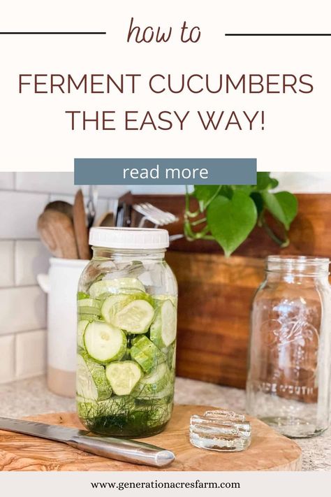 jar of fermented cucmbers Fermented Pickles Recipe, Fermented Cucumbers, Fermented Dill Pickles, Fermented Vegetables Recipes, Fermenting Weights, Cucumber Canning, Fermented Veggies, Fermented Pickles, Fermentation Recipes