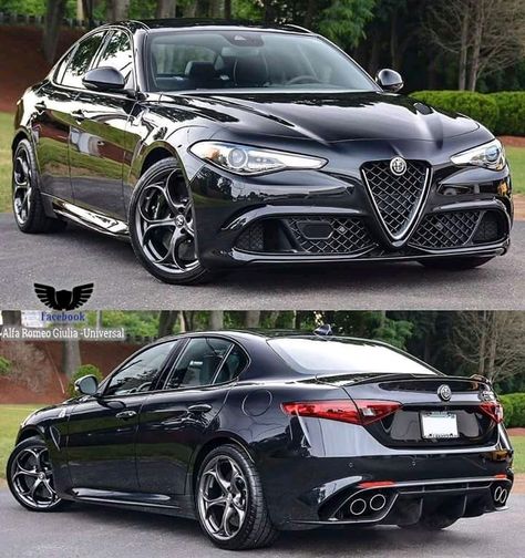 Alfa Cars, Alfa Romeo Giulia Quadrifoglio, Alfa Giulia, Alpha Romeo, Alfa Alfa, New Luxury Cars, Top Luxury Cars, Alfa Romeo Cars, 1957 Chevrolet