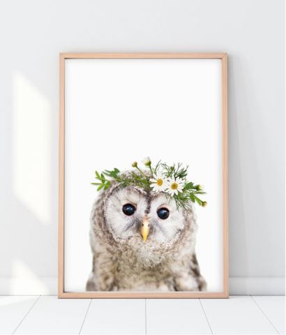 Owl Nursery Ideas, Owl Themed Nursery, Owl Nursery Art, Owl Room, Ellie Jean, Owl Nursery Decor, Bedroom Shades, Nursery Hamper, Nursery Baskets