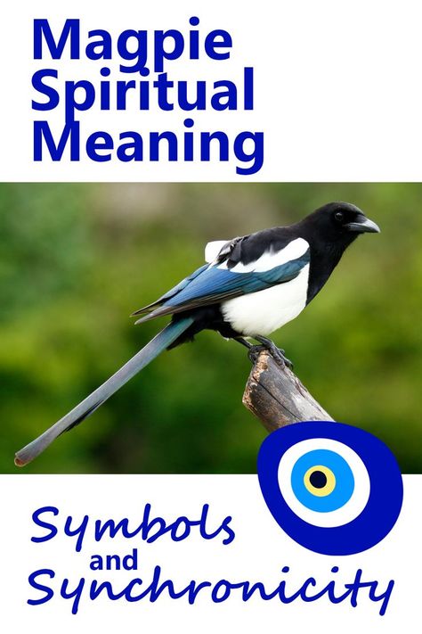 Magpie Spiritual Meaning Two Magpies, Spirit Guides Meditation, One For Sorrow, Spirit Animal Meaning, Animal Meanings, Animal Spirit Guides, Animal Symbolism, Spiritual Symbols, Spiritual Meaning