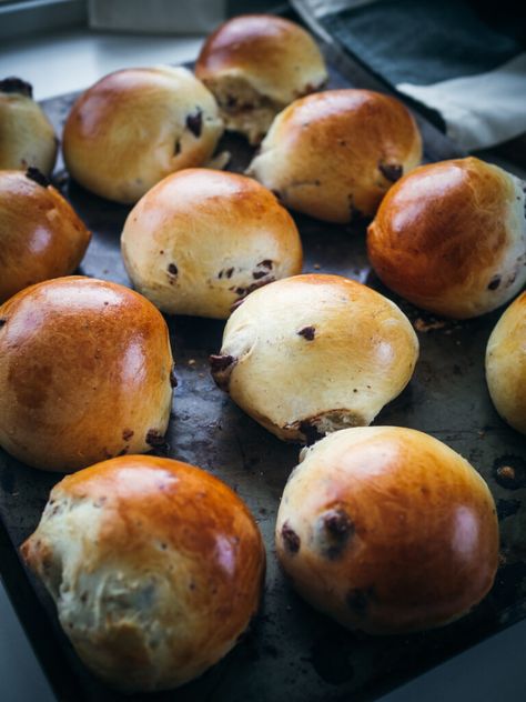 Chocolate Cardamom Buns (Sjokoladeboller) - North Wild Kitchen Recipes With Cardamom Baking, Scandinavian Baked Goods, Chocolate Cardamom, Zoe Bakes, Yeast Cake, Wild Kitchen, Nordic Recipe, Cardamom Buns, Chocolate Pieces