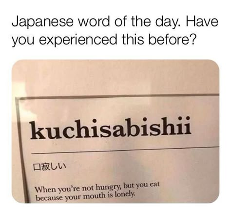 38 Funny Memes to Test Your Laughter Capacities - Funny Gallery Materi Bahasa Jepang, Basic Japanese Words, Learn Japanese Words, Japanese Phrases, Japanese Language Learning, Learning Japanese, Japanese Word, A Silent Voice, Japanese Words