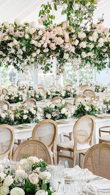 Rachel A. Clingen on Instagram: "Talk about a transformation! 🤍🌸 . The prettiest indoor garden for T&D! . Let’s talk the team.. @ashleypigottevents @rachelaclingen @hardingwaterfrontestate @detailzfurniturerentals @wildandfreefilms @paperandposte @eventgraffiti @trufflecakeandpastry @simplybeautifuldecor @fortisav @emily_michelson For @taylerstrome @dylstrome19 🌸💗 . #hardingestate #hardingestatewedding #weddingbts #weddingbeforeandafter #beforeandafter #rachelaclingen #weddingdecorins Fair Photography, Lights Wedding Decor, Blush Wedding Flowers, Maroon Bells, Magical Wedding, Antique Chairs, Estate Wedding, Ranch Wedding, Blush Wedding