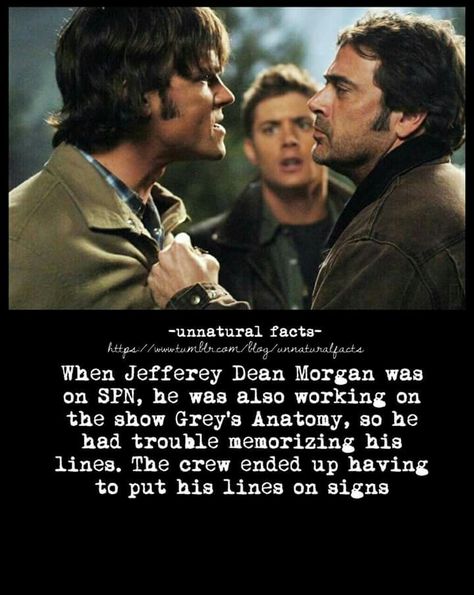 Supernatural Facts, Dean Supernatural, Sam Dean, Greys Anatomy, Winchester, Facts About, Dean, Supernatural, Anatomy