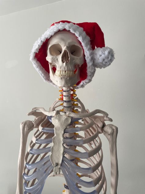 Cursed Christmas, Chrome Skeleton, Skeleton Pics, Skeleton Christmas, Spooky Scary, Oddly Satisfying, Halloween Funny, Dumb And Dumber, Skeleton