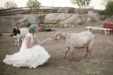 : ) Temecula Wedding, Wedding Image, Country Weddings, Farmhouse Wedding, Wedding Picture, Photo Op, Rustic Country, Wedding Pictures, Picture Ideas