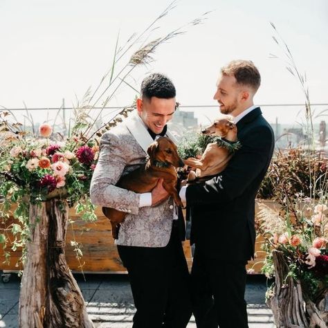 Wedding Venues Ideas, California Wedding Venues, Ceremony Ideas, Dog Wedding, Walking Down The Aisle, Plan A, Dog Friendly, California Wedding, Your Pet