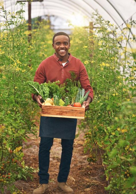 Gifts from mother nature. Full length portrait of a handsome young male farmer carrying a crate of fresh produce. stock photography, #produce, #sponsored, #stock, #photography, #ad Vector Silhouette, Fresh Produce, Mother Nature, Farmer, Stock Photography, Full Length, Photography, Gifts, Nature