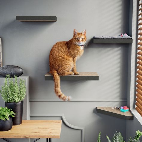 WAY BASICS Floating Shelf Combo Cat Scratcher, Medium, 4 count, Charcoal Black - Chewy.com Ikea Cat, Floating Cat Shelves, Tree Shelf, Long Cat, Triangle Shelf, Cat Playground, Cat Perch, Cat Shelves, Large Shelves