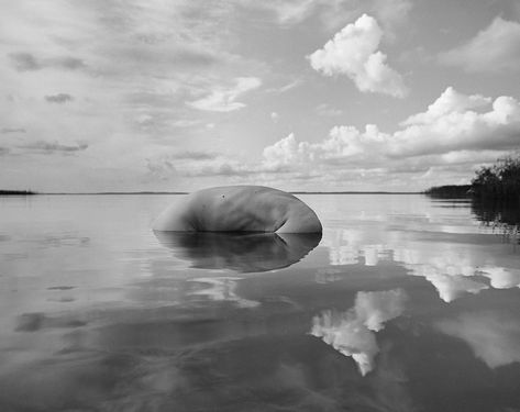 Photographer Arno Rafael Minkkinen Seamlessly Integrates His Body with the Natural World Self Portrait Photography, Black And White Landscape, Foto Art, Contemporary Photography, Landscape Photos, Helsinki, Natural World, Self Portrait, Contemporary Artists