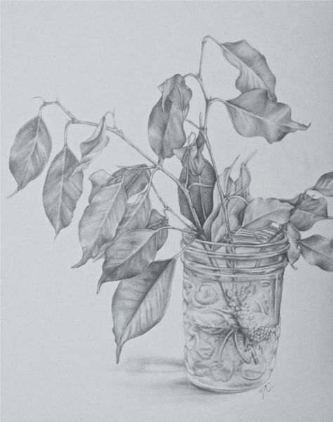 Leaf Pencil Drawing, Flower Sketch Pencil, Realistic Flower Drawing, Pencil Drawing Ideas, Leaves Sketch, Realistic Pencil Drawings, Nature Sketch, Leaf Drawing, Beauty Art Drawings