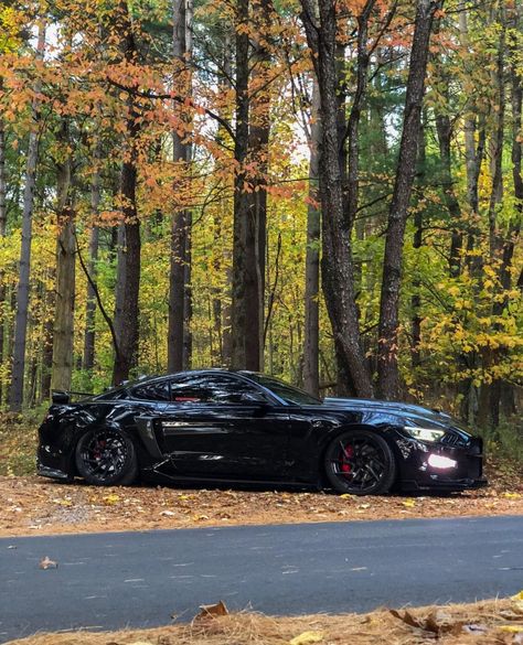 Mustang Gt 5.0 Black, All Black Mustang, Black Mustang Gt, 2018 Mustang Gt, Saleen Mustang, Black Mustang, Muscle Cars Mustang, New Mustang, Car Poses