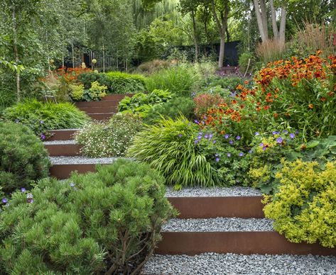 Cascading Plants, Steep Gardens, Sloping Garden, Terraced Gardens, Hampton Garden, Terraced Garden, Hill Garden, Landscaping On A Hill, Muswell Hill