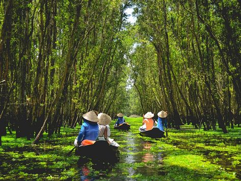 Laos City, Vietnam Vacation, Vietnam Voyage, Mekong Delta, Vietnam Tours, River Delta, South Vietnam, River Cruises, Vietnam Travel