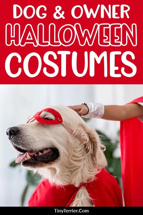 Dog and owner Halloween costumes. Discover the best dog & owner costumes for Halloween in 2019 and beyond. Matching dog Halloween costumes are adorable - don't miss out! #halloween Diy Dog And Owner Costumes, Dog Costumes With Owner, Pet And Owner Costumes, Dog Halloween Costumes With Owner, Dog And Owner Costumes, Halloween Customer, Animal Clothes, Dog Costumes Funny, Dog And Owner