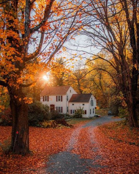 Autumn Morning, Autumn Scenes, Autumn Scenery, I Love Fall, Autumn Beauty, Best Seasons, Fall Pictures, Autumn Vibes, Autumn Cozy