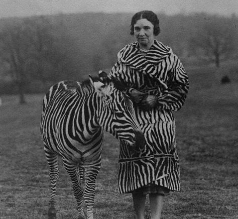 How nervous do you think that zebra is around this woman? Weird Vintage, Strange Photos, Aesthetic Movement, Zebra Stripes, Vintage Life, Horse Photos, Salvador Dali, Life Magazine, Zebras