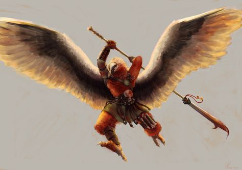 Page 10 — Barbatus! The bearded vulture, gladiator themed... Vulture Aarakocra, Bearded Vulture, Character Art, 10 Things