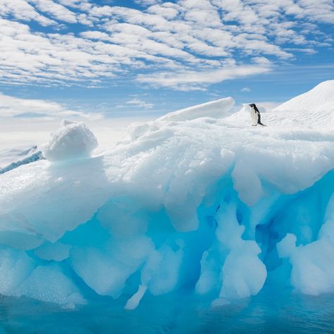 What Not To Pack On Your Cruise To Antarctica | Condé Nast Traveler Cruise To Antarctica, Canon R7, Arctic Cruise, Celebrity Eclipse, Antarctica Cruise, Antarctica Travel, Cruise Attire, Night Anime, Winter Mood