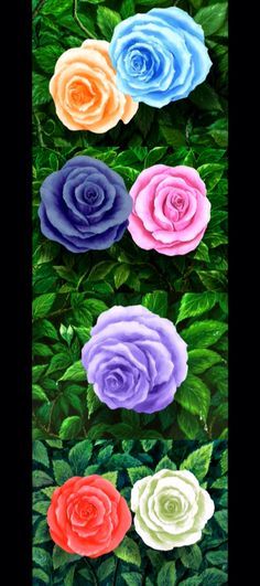 The different color roses for each host Different Color Roses, Crochet Blanket Colors, Color Roses, Club Tattoo, Ouran Highschool, Ouran Host Club, Flower Sleeve, Ouran High School Host Club, High School Host Club