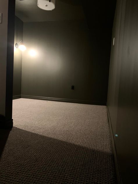 Moody Basement Theater, Theater Room Paint Colors, Principle Bedroom, Black Baseboards, Basement Theater, Moody Rooms, Theater Ceiling, Basement Home Theater, Ceiling Trim