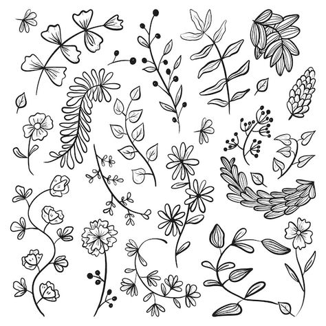 Big Flower Doodles, Nature Doodle, Doodle Icons, Flower Doodle, Vector Doodle, Botanical Elements, Doodle Icon, Flower Collection, Icon Collection