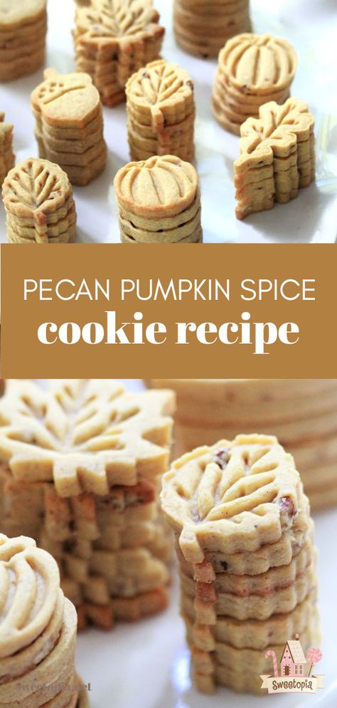 Pecan Pumpkin Spice Cookies, Pumpkin Spice Rollout Cookies, Pecan Cutout Cookies, Pumpkin Spice Biscuits, Pumpkin Spice Shortbread, Chex Mix Recipes Autumn, Pecan Sugar Cookie Recipe, Pumpkin Spice Cut Out Cookies, Pumpkin Cutouts Cookies