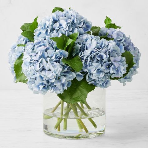 Faux Blue Hydrangea Arrangement in Glass Vase | Williams Sonoma Coastal Table Decor, Hydrangea Arrangement, Coastal Table, Blue Placemats, Rose Floral Arrangements, Hydrangea Centerpiece, Hydrangea Arrangements, Faux Hydrangea, Hydrangea Bouquet