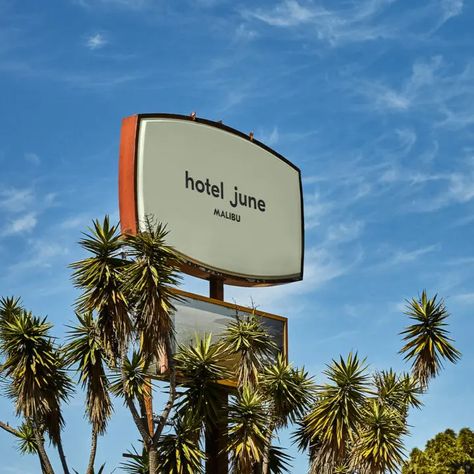 Hotel June Malibu, Malibu Nobu, Malibu Design, Malibu Hotel, Hotel June, Mid Century Hotel, Character Closet, Mid Century Bungalow, Malibu Rising