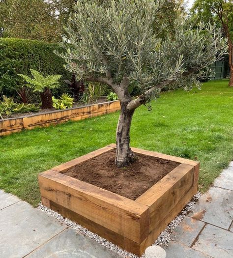 Railway Sleeper Planters, Raised Bed Sleepers, Raised Garden Bed Edging Ideas, Raised Garden Beds Around Tree, Railway Sleeper Raised Beds, Oak Raised Beds, Raised Garden Bed Around Tree, Sleepers Garden Ideas Raised Beds, Raised Garden Beds With Trees