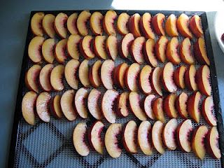 Dehydrated Nectarines, Dried Nectarines, Nectarine Tree, Nectarine Recipes, Dried Food, Dehydrated Food, Dehydrator Recipes, Nectarine, Dehydration