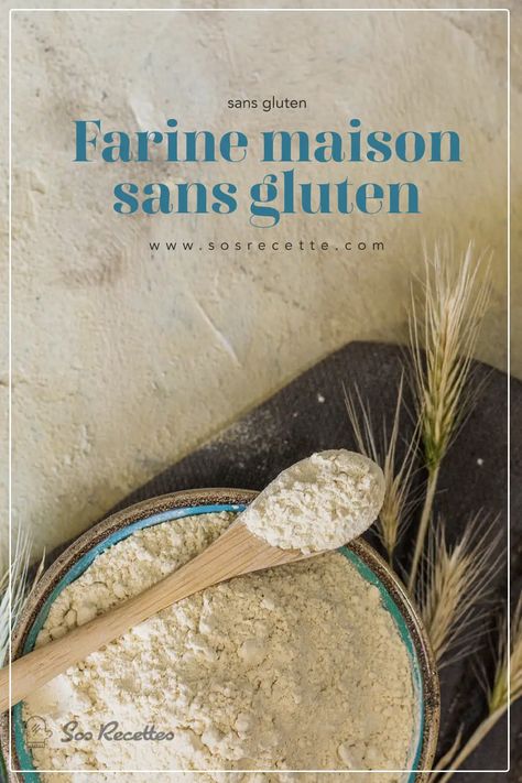 Farine maison sans gluten Sans Gluten